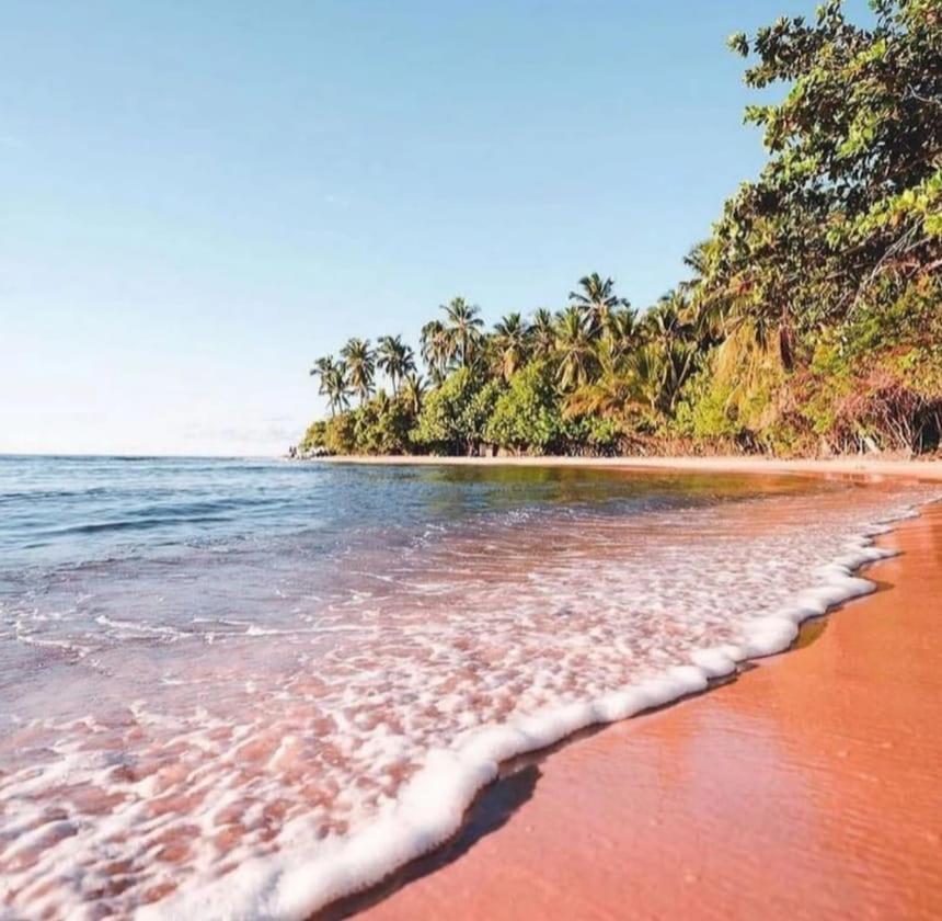 Pousada Ponta Do Muta Barra Grande  Exteriér fotografie